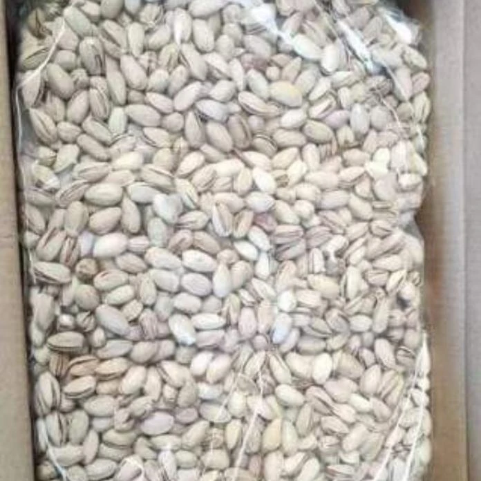 Оптовая продажа высококачественные натуральные свежие фисташковые орехи от производителя Uzbekistan фисташки без ГМО в скорлупе для пищевых