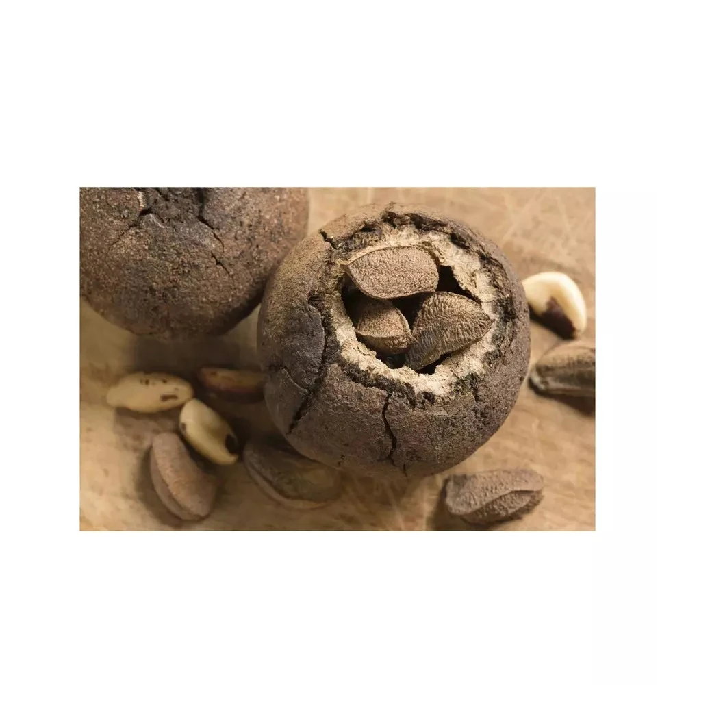 Brazil nut kernels - Tiny size grade above 180 nuts per pound - Shelled Brazil nut kernels