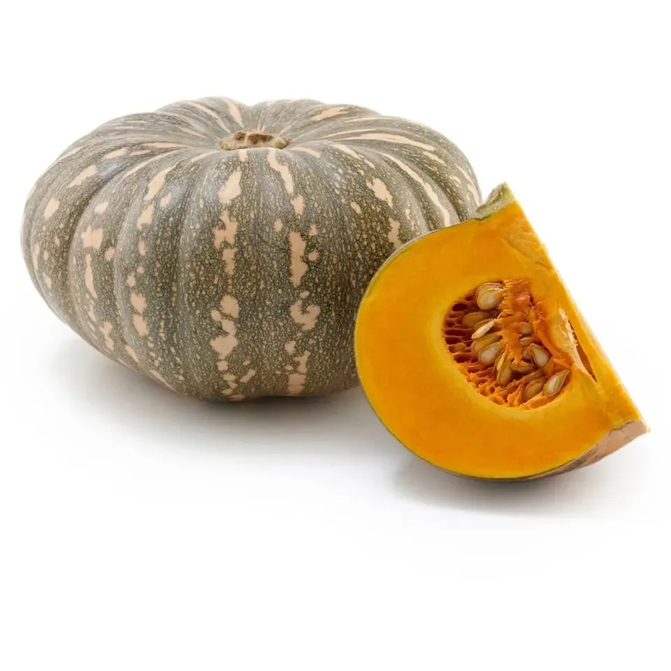 Natural Fresh Pumpkins With Firm Price Full Nutrition Pumpkins Best Quality Special Wholesales Price