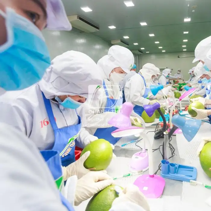 Top Fresh Honey pomelo Wholesale Slightly Sour And Less Seed Pomelo Fruit Fresh Pomelo Red/White Meat For Export