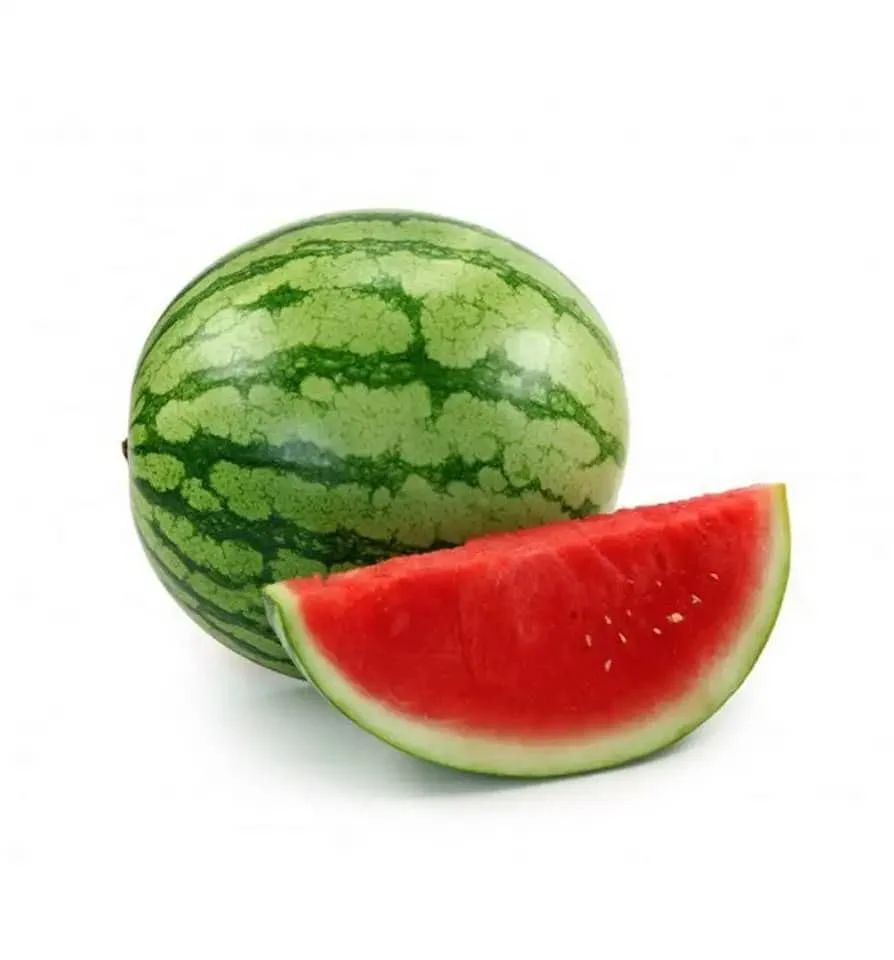 High quality Water Melon Natural Fruit Fresh Watermelon Africa Manufacturing