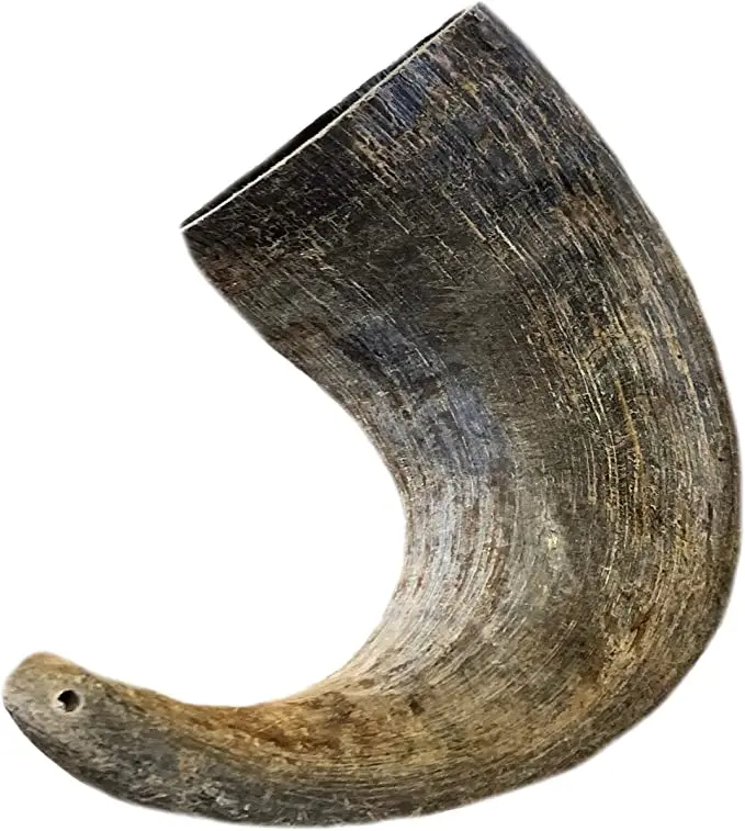 High quality raw buffalo horn for sale