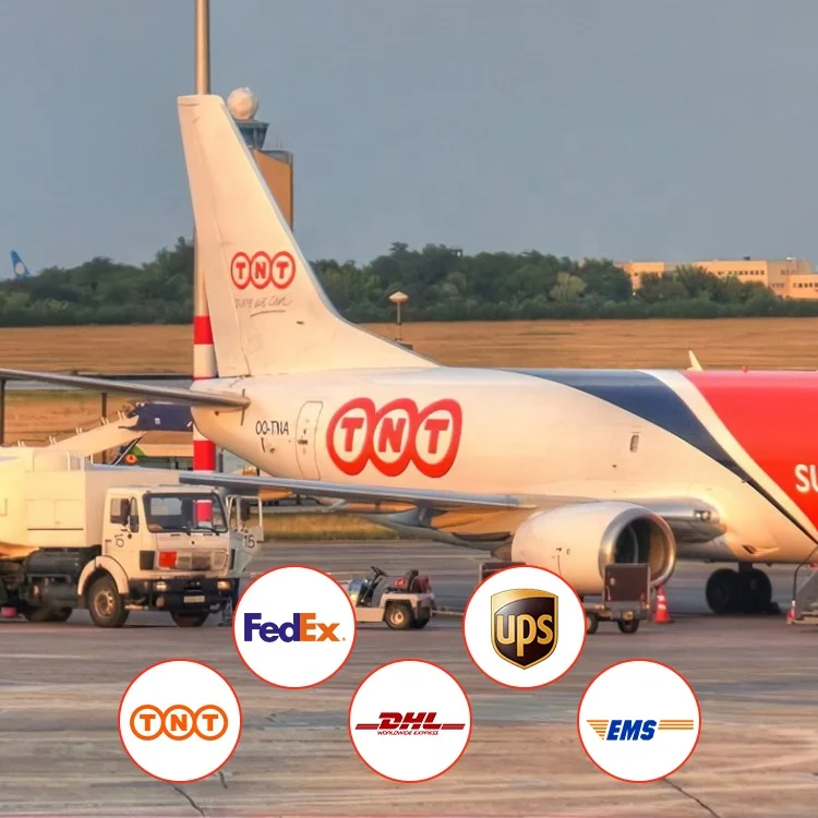 From China To USA UK Canada Europe Singapore Malaysia Dhl tnt ups fedex Express Freight