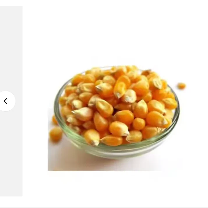 Ready to Eat Yellow Corn Cob Non-GMO Maize Sweet Waxy Fresh Corn