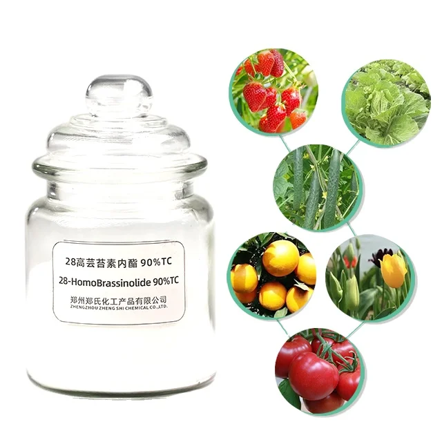 PGR 90% 28-HomoBrassinolide TC