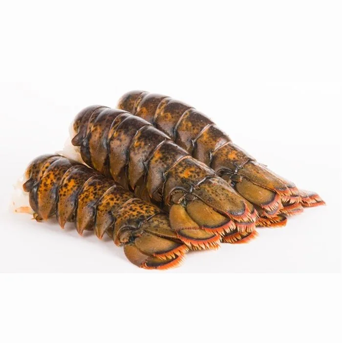 Live Lobsters, Fresh Chilled Lobster, Frozen Lobsters Box Style Packaging frozen lobster tails for sale