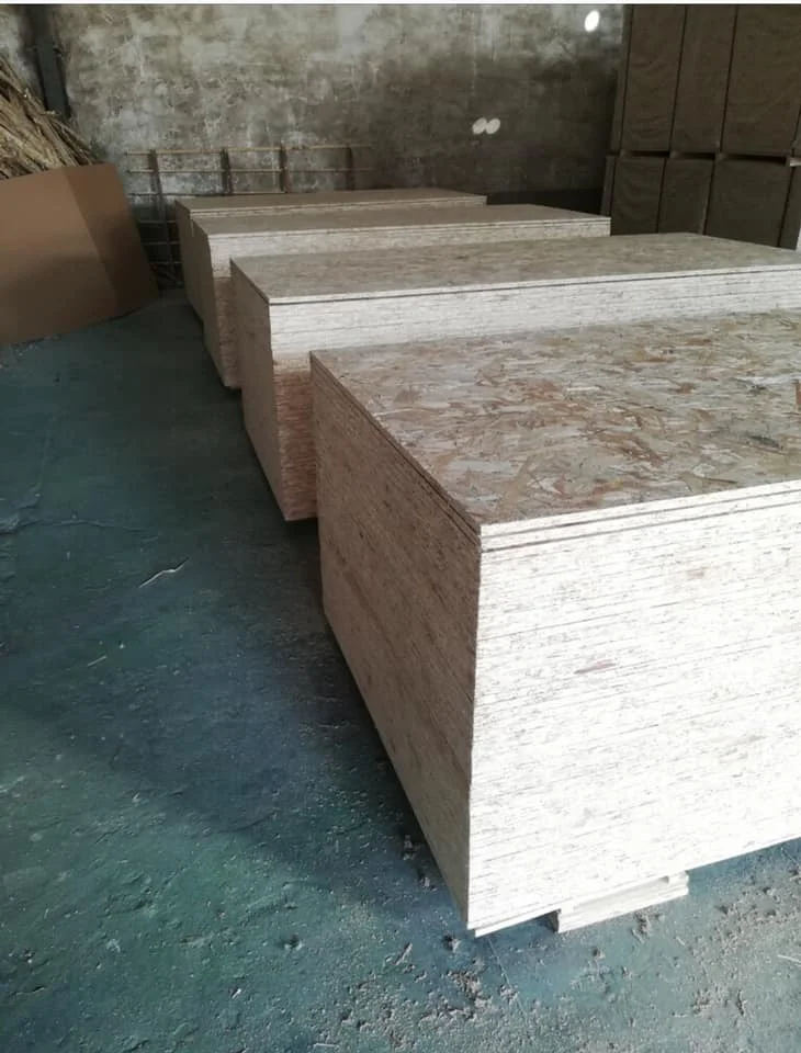OSB Board for Construction