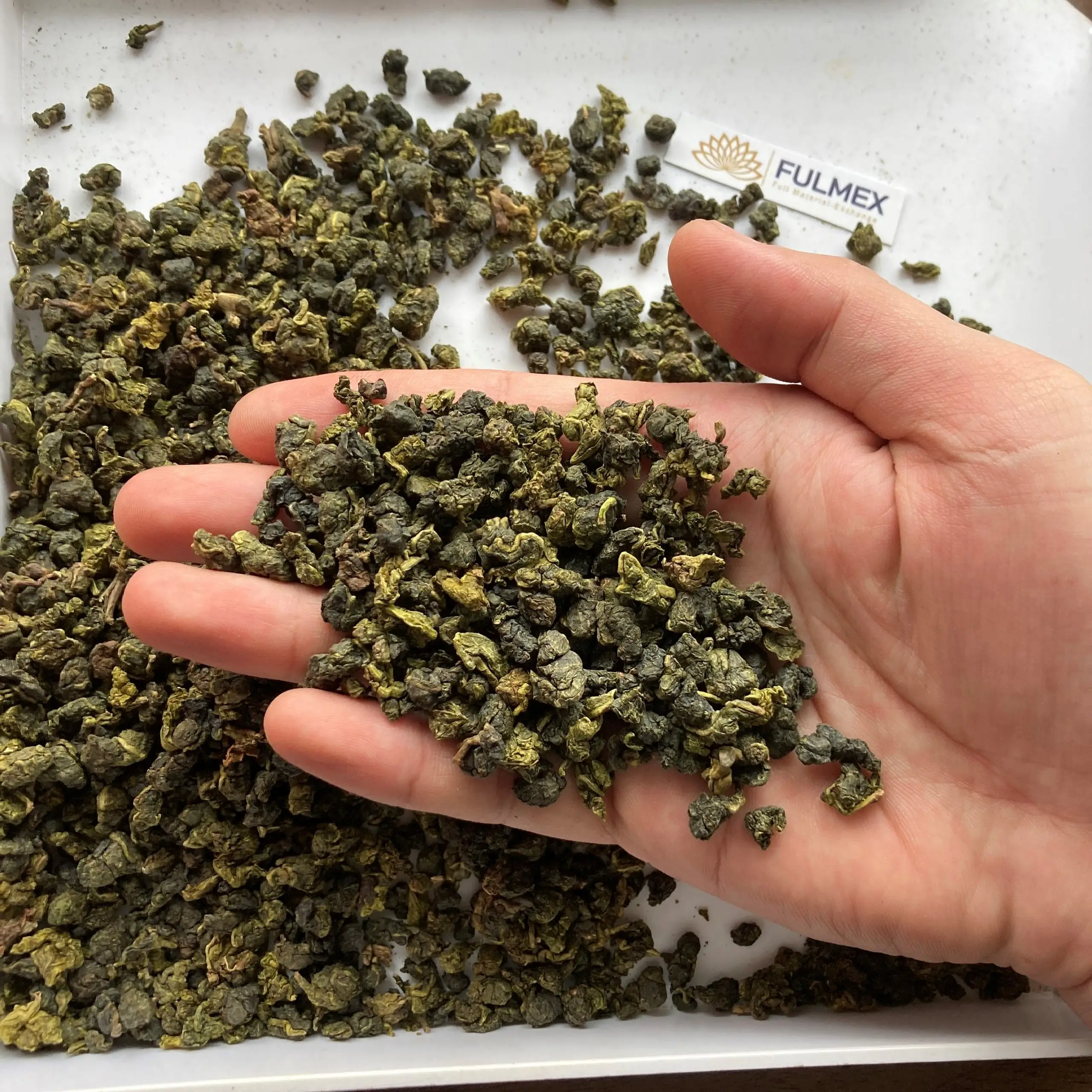Oolong green tea high quality standard no pollution Vietnam origin
