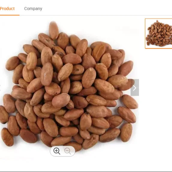 Cheap Price Cocoa Beans Top Dark
