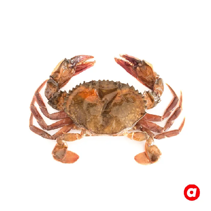Large Sizes Soft Shell Crab Good Taste Premium Grade High Protein Frozen Soft Shell Crab Origin From Malaysia