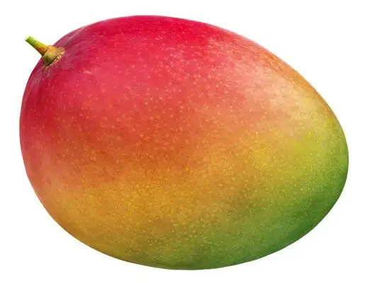 First Class MANGO NEW SEASON 2022 FROM EGYPT