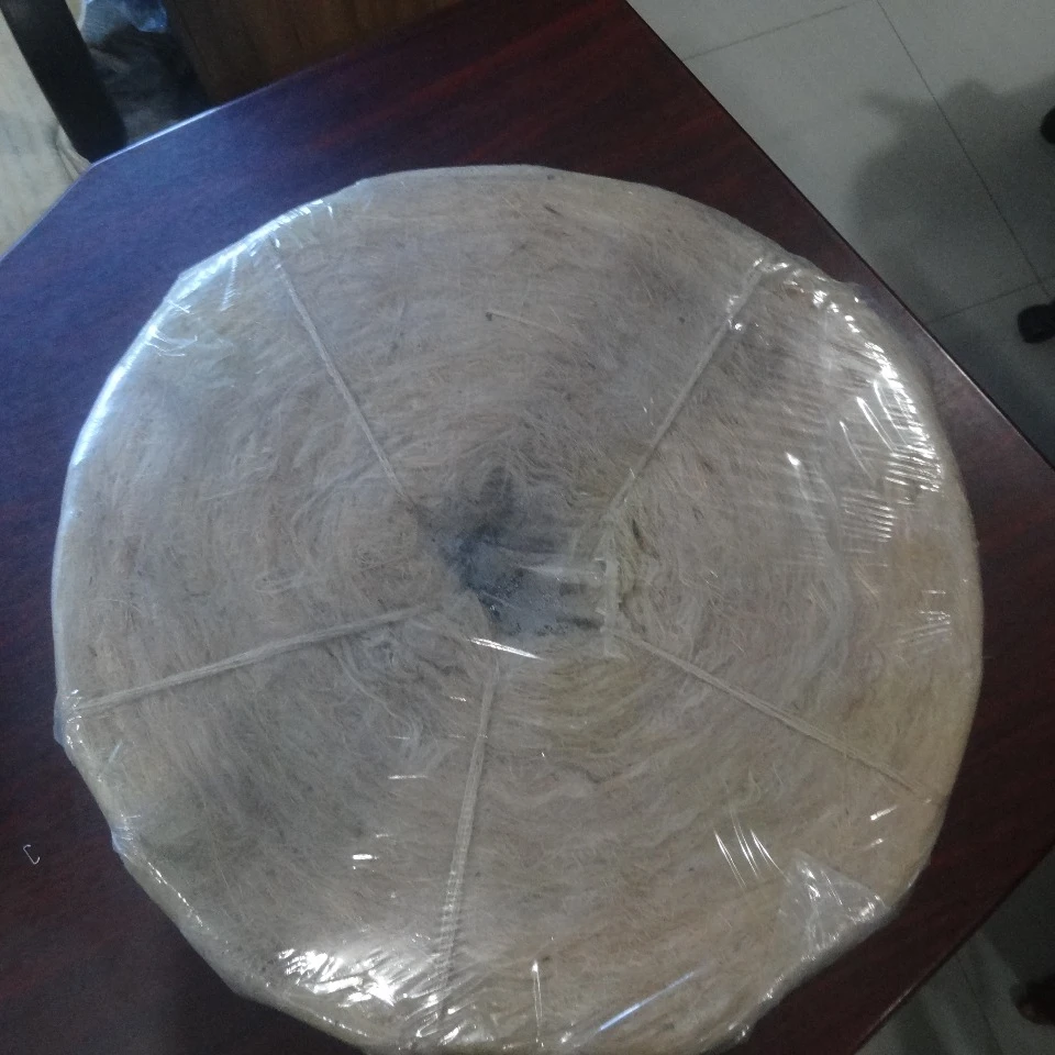 High Quality Wholesale Price Jute Filasse Fiber for Gypsum plaster Sliver Feature Eco Biodegradable from Bangladesh
