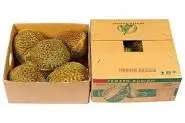 The Best Fresh Durian , Tropical Fruit, Vietnam Export products to China, Thailand, Malaysia, Turkey Fresh Durian Fruit