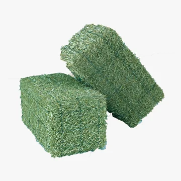 Cheap Price Alfalfa Hay Pellet for Animal Feed