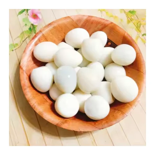 Best Quality Canned Quail From Vietnam in Bulk Stock for Delivery Ready to Ship With Export Standard