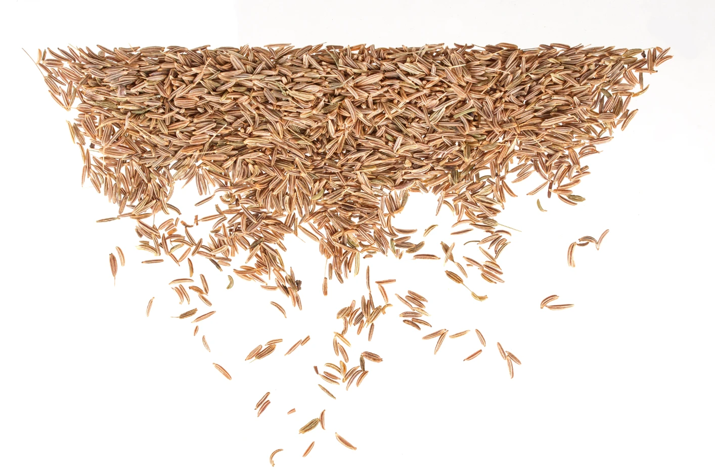 Крупная покупка семена натурального кумина лучшего качества 100% чистые и Органические Пищевые производитель из Индии