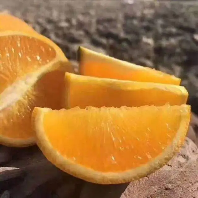 Strong discount with fresh orange  type navel  hot selling market in fruit with competitive price