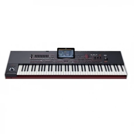 FAST Sales New Korgs Pa4X 76 Oriental 76-key Professional Arranger