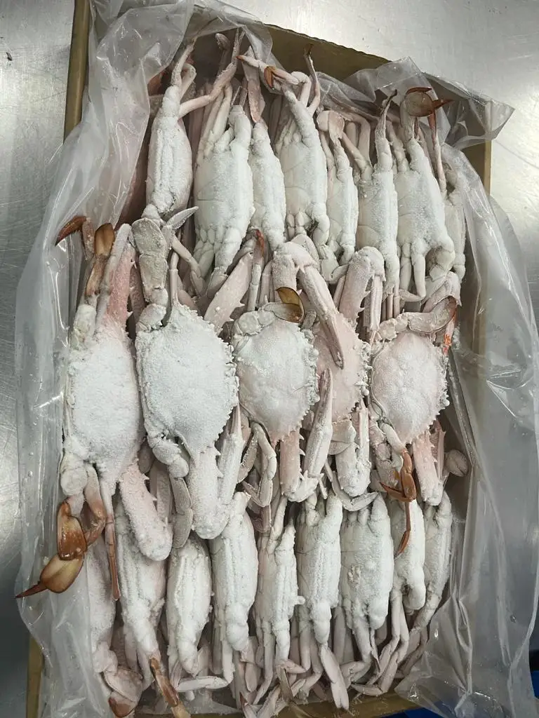 ATTRACTIVE PRICE OF TUNISIAN ORIGIN TOP QUALITY FROZEN COOKED WHOLE CRAB FREEZING BY NITROGEN FREEZER