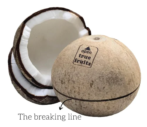 Brown coconut Top quality best price coconut for wholesales from Vietnam