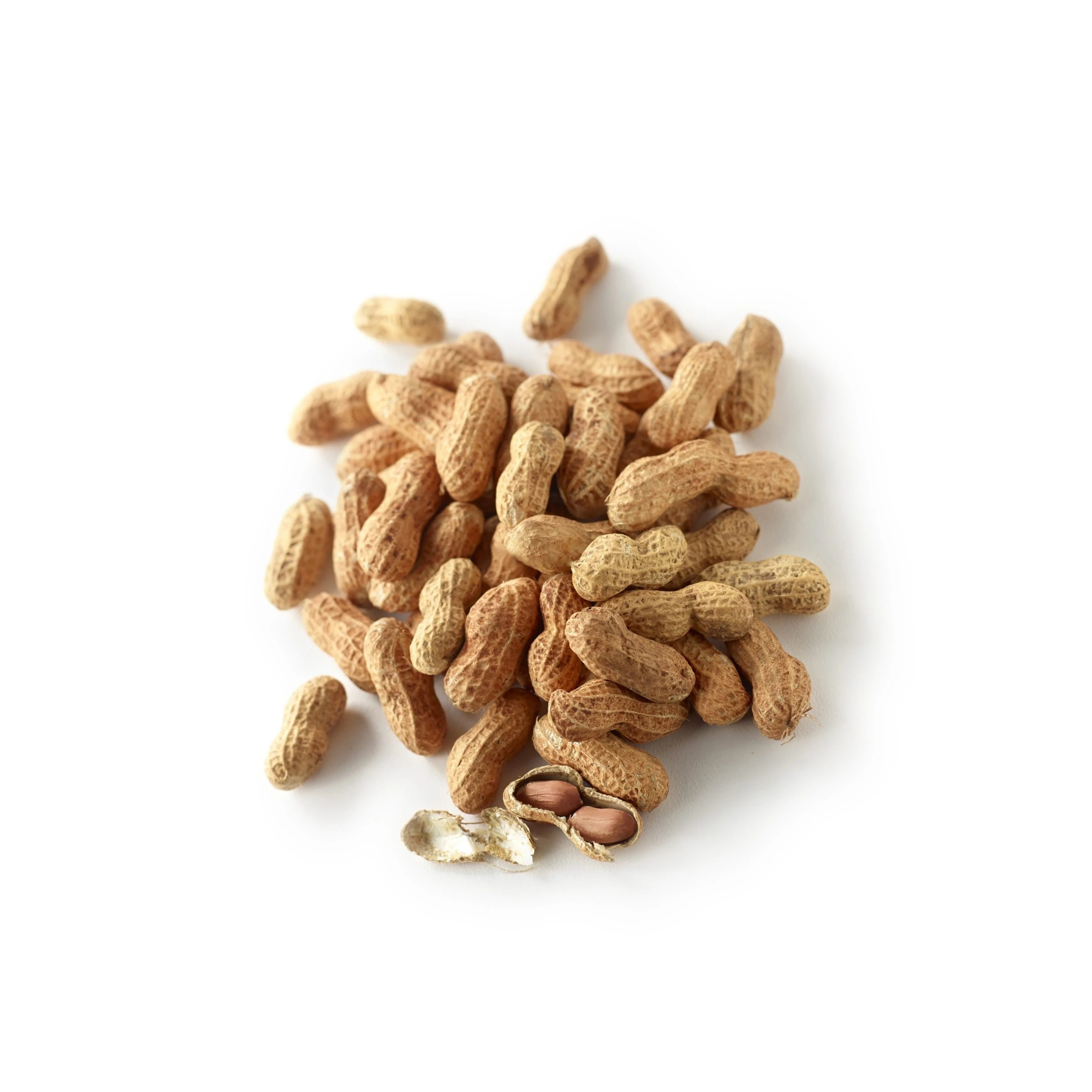 Wholesale Peanut from Brazil Cheapest Price Bold Peanuts Available Here For selling wholesale peanuts raw peanut red skin peanut