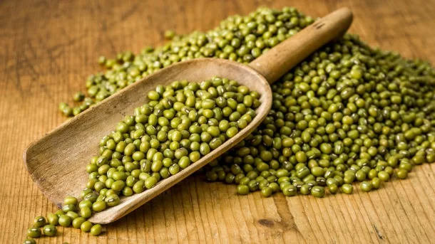 Wholesale Natural Organic High Quality Green Mung Beans Green Vigna Beans Green Gram Beans