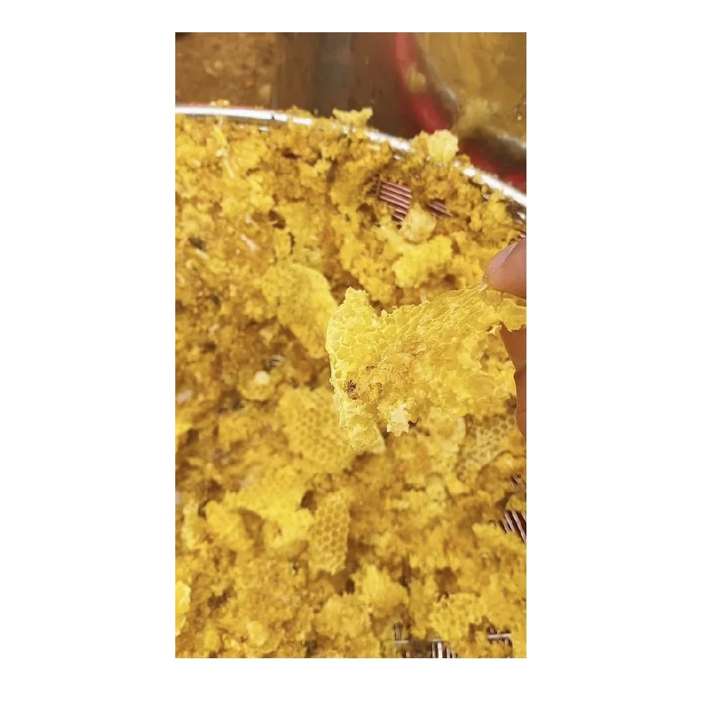 Can (Tinned) Packaging OEM/ODM Low MOQ High Quality Natural Forest Honey for Drinking, Cooking, Skincare Made in Vietnam