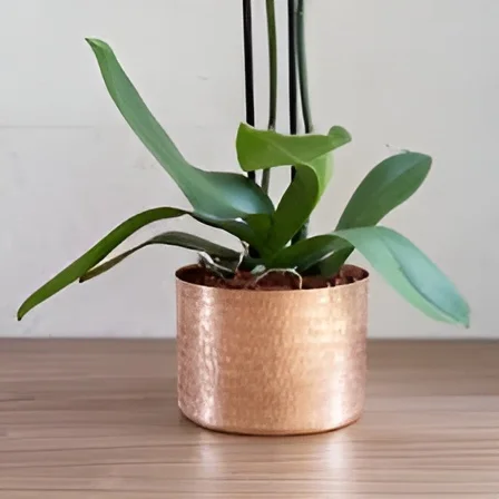 Iron Garden Planter With Different Sizes Galvanized Superior Quality Outdoor Planter At Reasonable Prices 2024