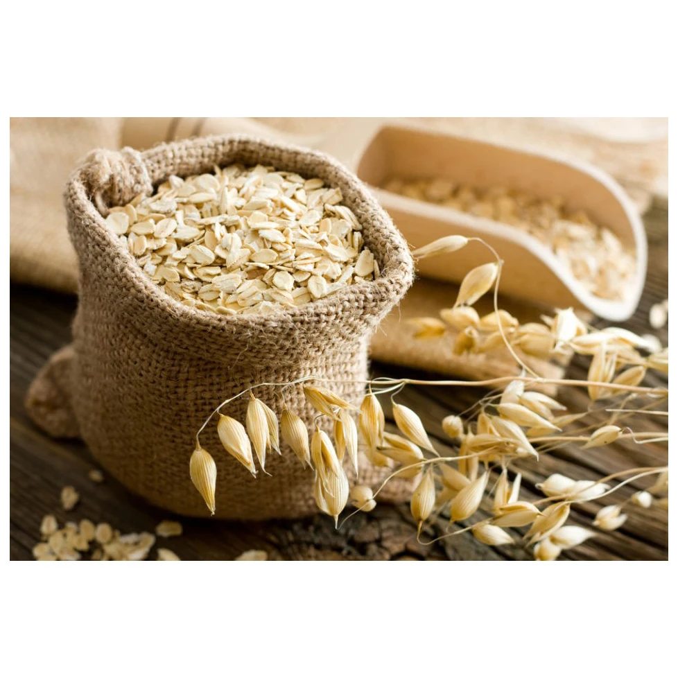 High Quality Organic Rolled Oats Wholegrain Flakes Jumbo Oats Healthy Diet Food Price Wholesale