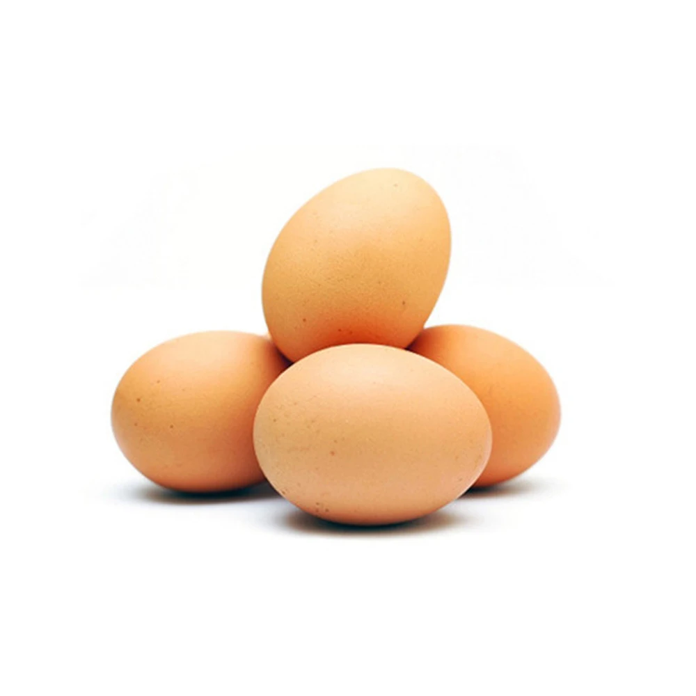 Best Quality 88 Chicken Egg Tray Incubator Egg Tray for Sale