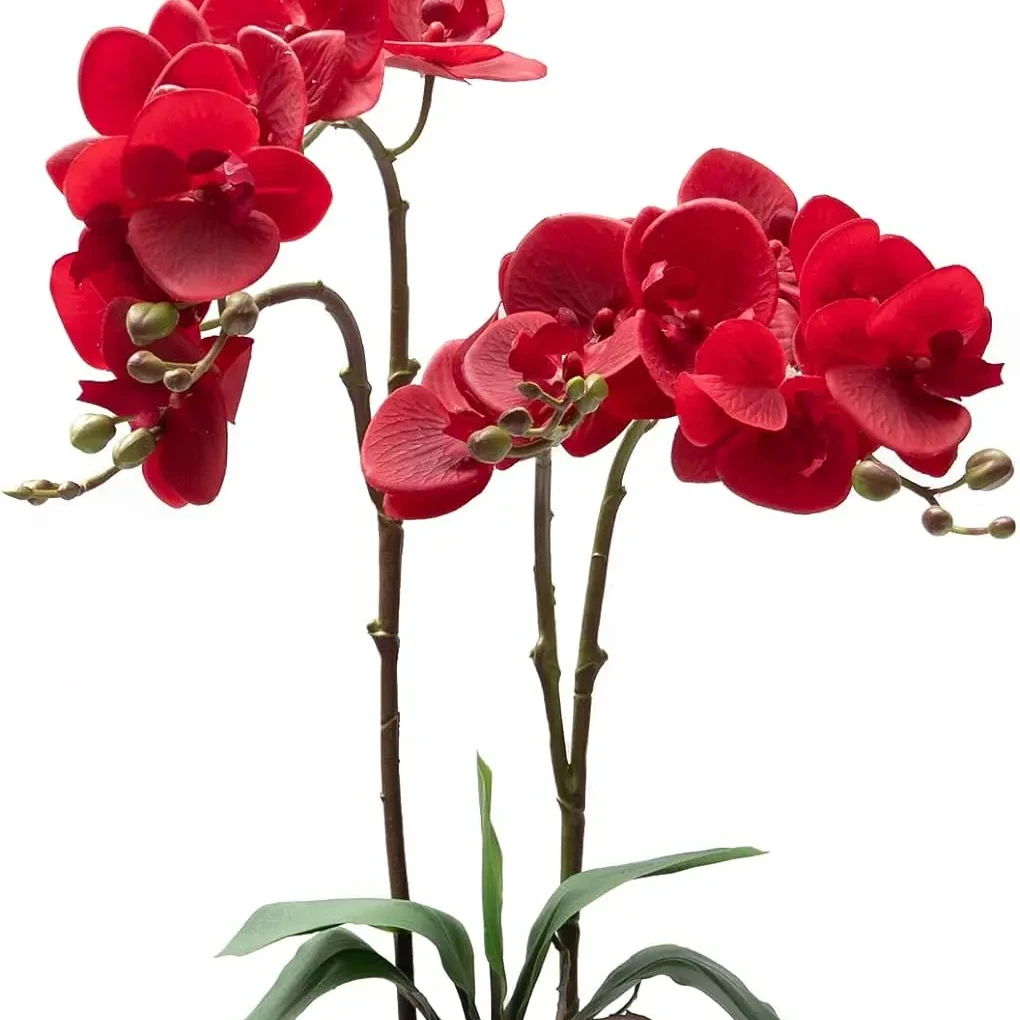 THAOF-048 Type One Artificial Orchid Stems 9 heads Real Touch Orchid 38-inch Tall Phalaenopsis Flower