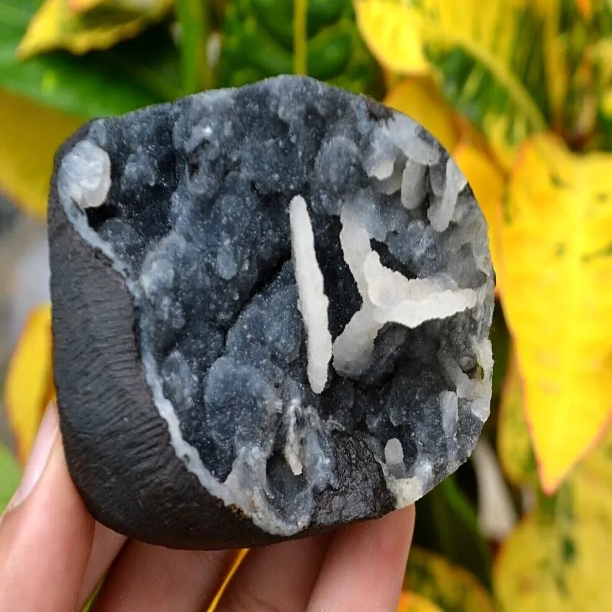 Wholesale Black Chalcedony  Cluster Natural Rock Crystal Specimen Minerals  Gift Decorative crystals