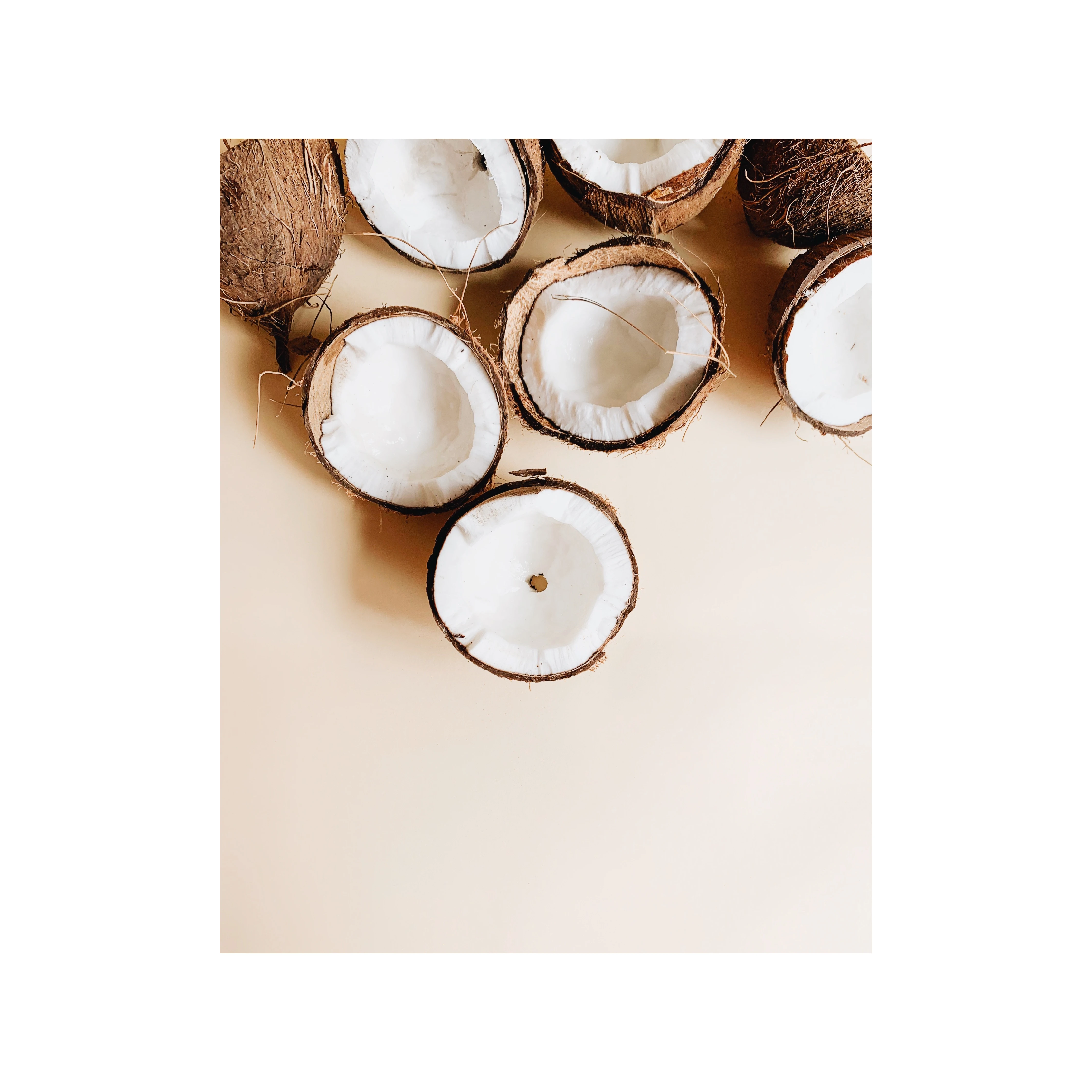 Top Quality 100% Fresh Natural Organic Desiccated Coconut