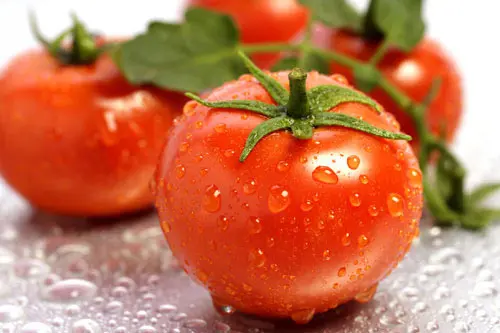 Best Price with High Quality Frozen Whole Tomatoes From VietNam Ready to shipped and carefully packed