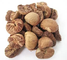 DRIED BETEL NUT WITH HIGH QUALITY , BEST PRICE EVER FROM VIET NAM
