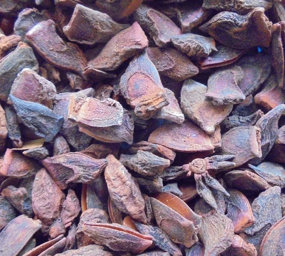 High Quality Dried Star Anise Ground Broken Star Anise Single Spices & Herbs Anise Seed