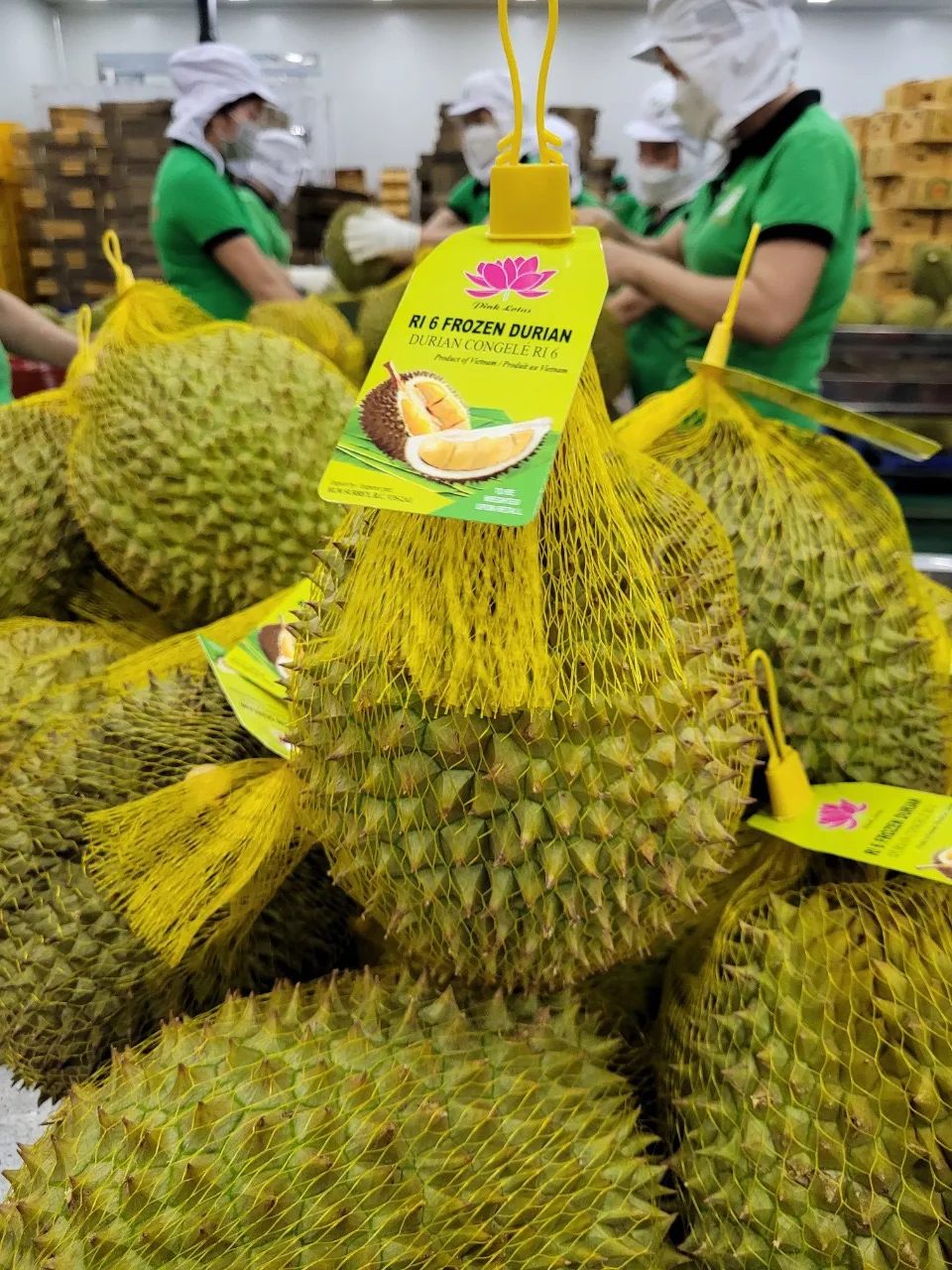 3-6 Fruits/carton Monthong/Ri6 Durian IQF Freezing Process Seed Or Seedless Organic Whole Shape Frozen Durian