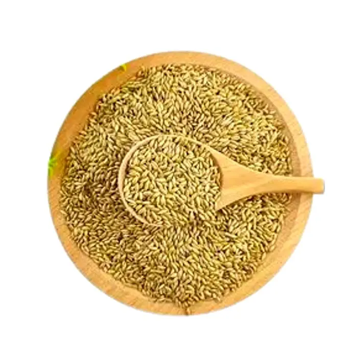 Premium Quality Wholesale Canary Seeds Organic Animal Feed Ready For Export