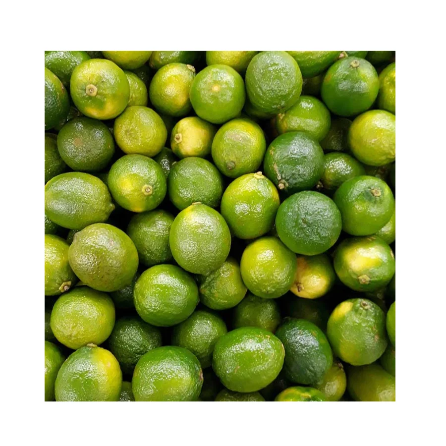 High Quality Organic Fresh Limes Healthy Organic Fresh Limes For Sale