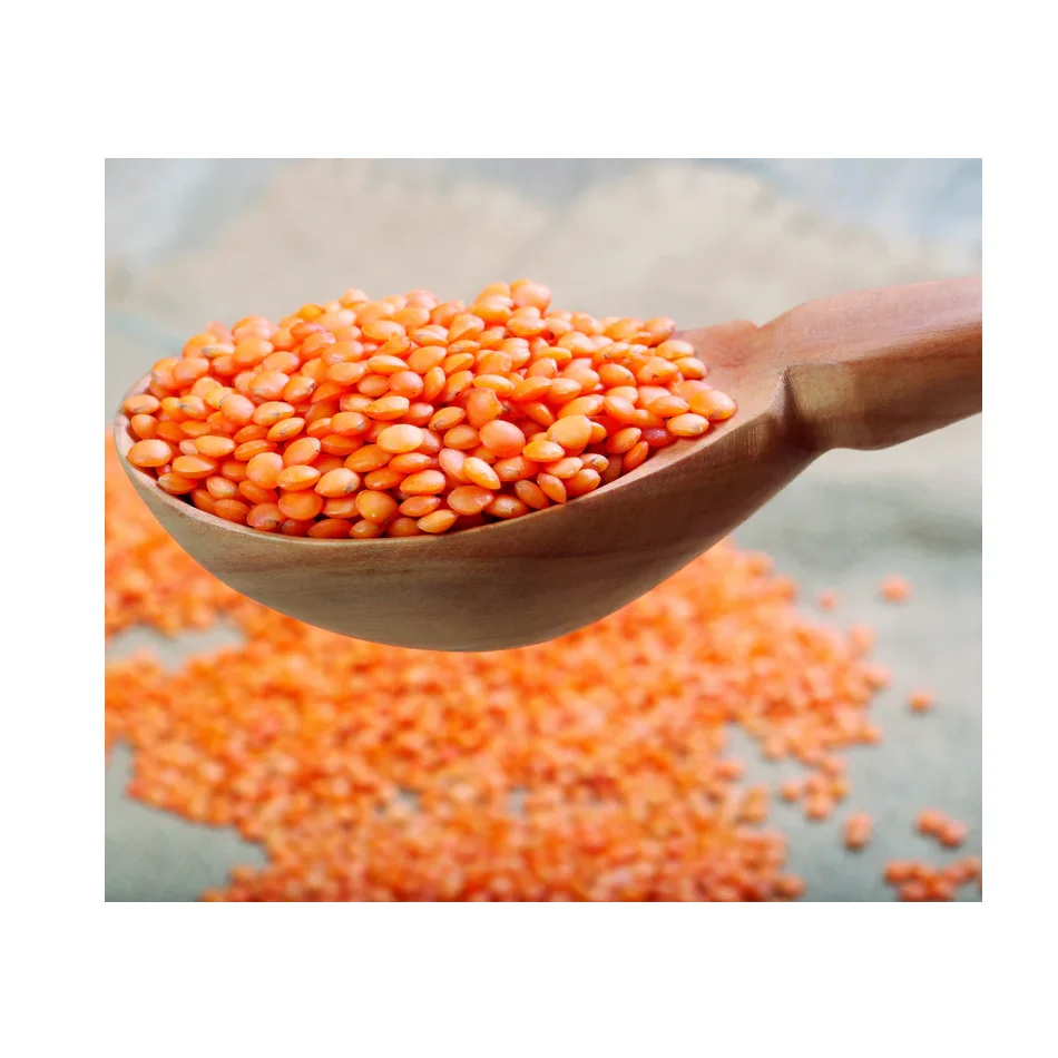 Organic Premium Grade Split Red Lentils Dried Chana Dal for Food Use Green Lentils Export Bulk