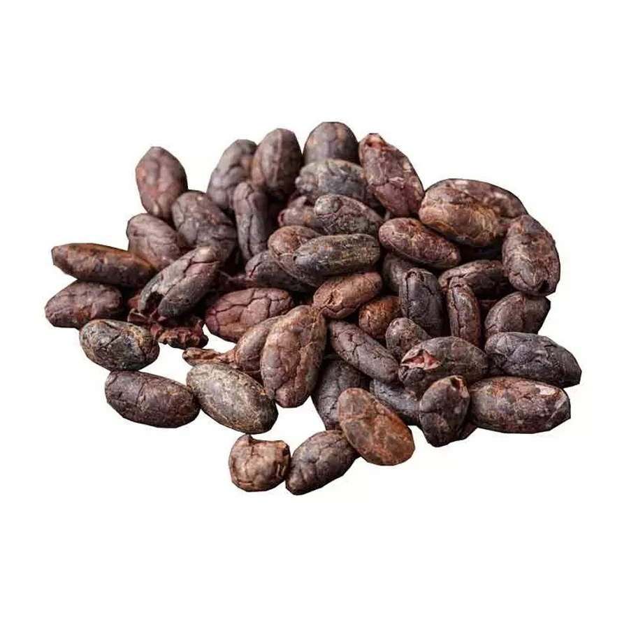 Quality Dried Cacao Beans / Cocoa- Beans