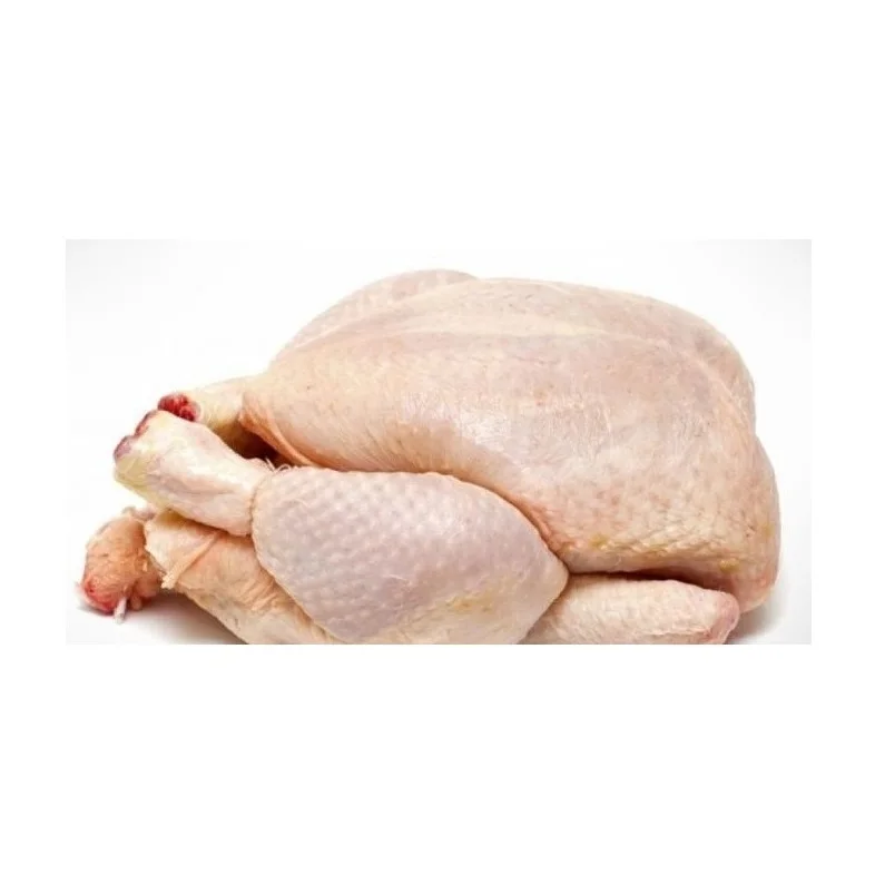 Lowest Price Frozen Whole Chicken Premium Quality Bulk Quantity For Exports From Europe