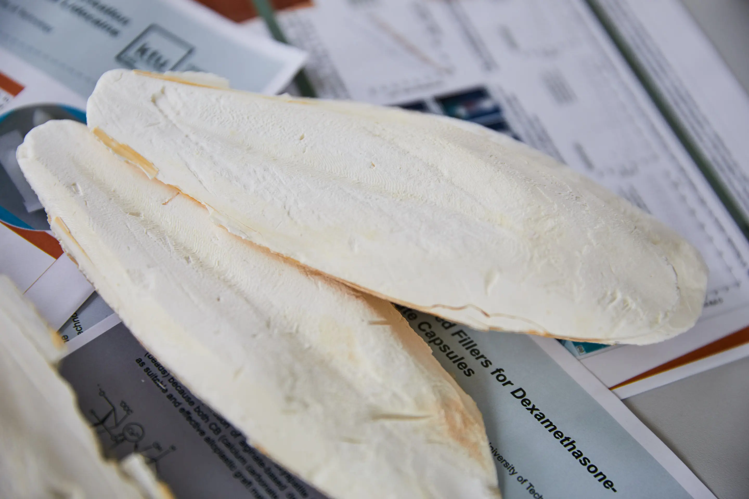 VIETDELTA Organic Whole Cuttlefish Bones High Quality Dried and Frozen with Vitamins Best Price from Vietnam