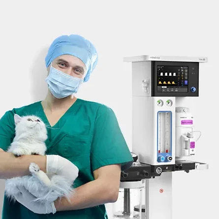 Mindray Veta 5/Veta 3 Redefining Animal Anesthesia Machine New 8 Inch Touch Screen Intelligent Ventilation Mode Economical