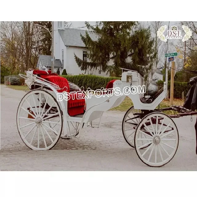 Викторианский дизайн экскурсионная белая колесница четырехместная лошадь тянутая туристическая карета Королевский белый лошадь викторианская