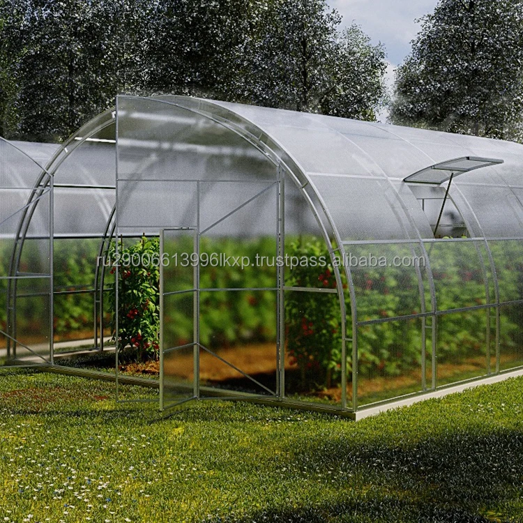 Greenhouse Farmer Farmer Big Professional Greenhouse for professional use from manufacturer