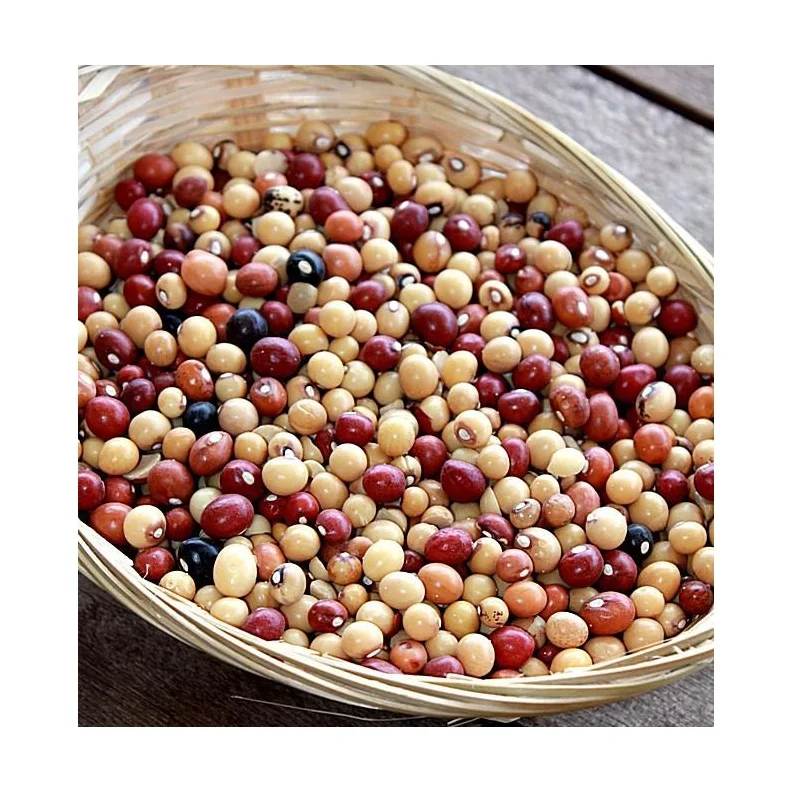 Оптовая продажа, низкая цена, лучшее качество, органические бобы Jugo для продажи, экспорт по всему миру