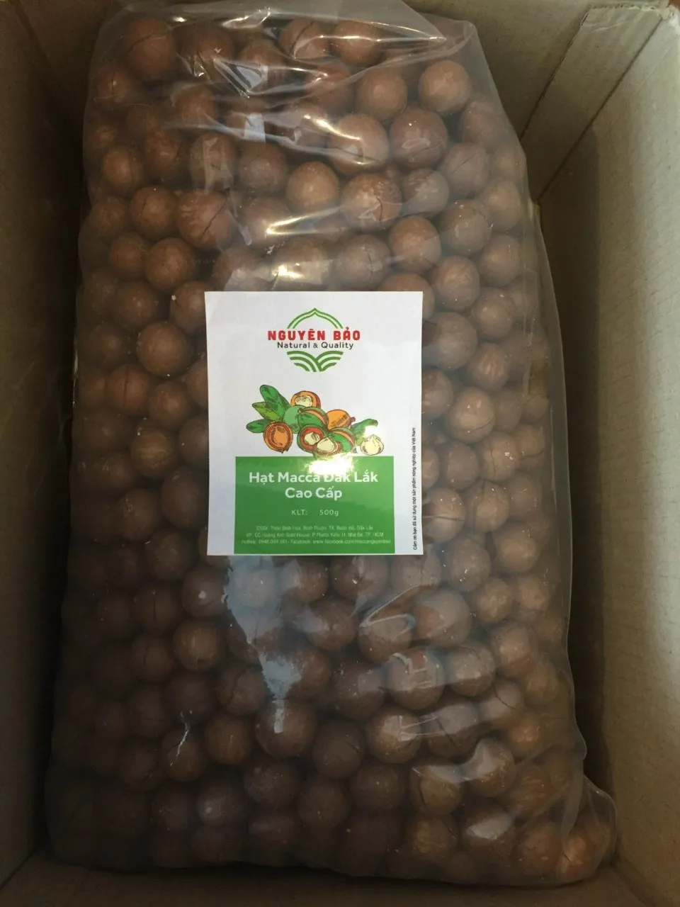 High Quality Macca Nuts Organic Wholesale