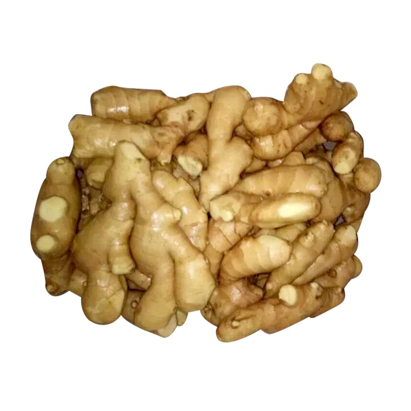 Dried Fresh Ginger Market Price Per Ton Wholesale Ginger Buyers For Export South Africa In Ginger
