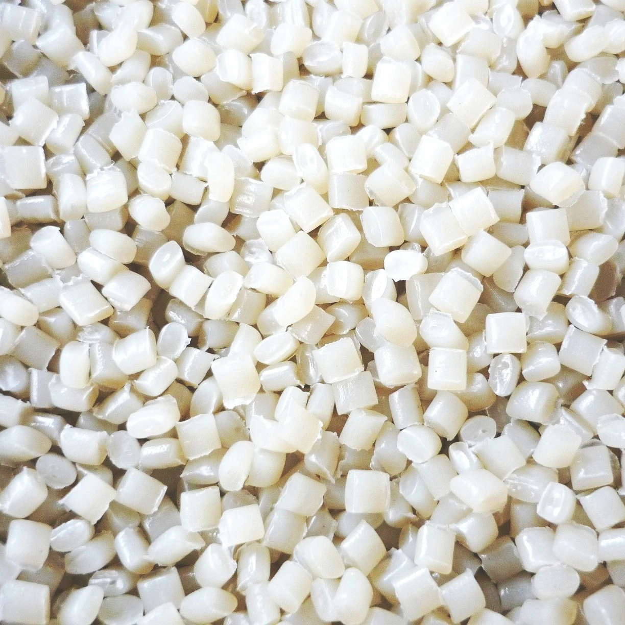 Genuine Bulk Supplier Selling PCR Post Consumer Plastic Raw Material Polyethylene White HDPE Blow Grade Granules for Sale